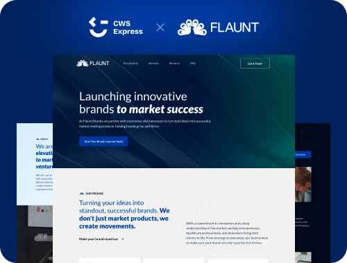 Flaunt Brands website mockup